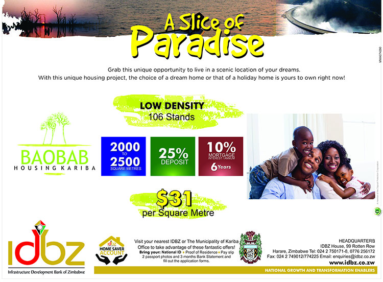 kariba project advert